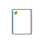 Wireo-Broschren Budget